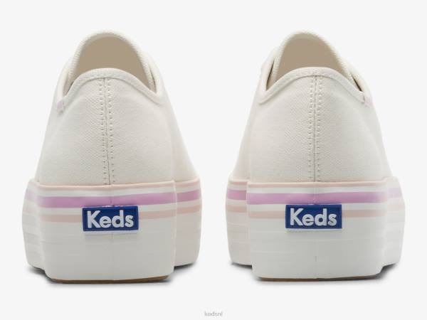 schoenen Keds triple up canvas foxing gestreepte sneaker witte lila vrouwen 86BZ184 - Image 2