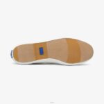 schoenen Keds x Rifle Paper Co. kampioen colette jacquard sneaker ivoor vrouwen 86BZ129 - Image 4